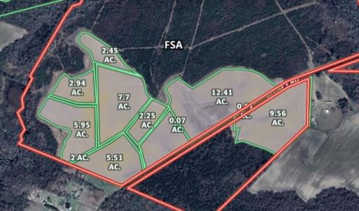 Photo #6 of 973 Mosely Road, Walstonburg, NC 204.2 acres