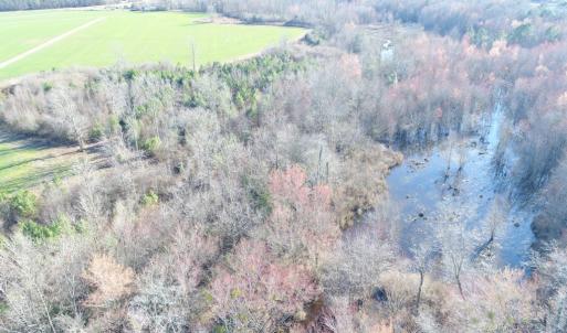 Photo #8 of 973 Mosely Road, Walstonburg, NC 204.2 acres