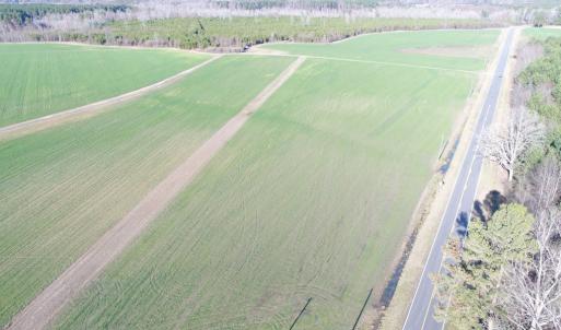 Photo #10 of 973 Mosely Road, Walstonburg, NC 204.2 acres