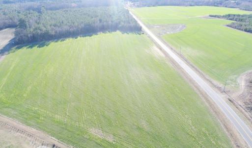 Photo #11 of 973 Mosely Road, Walstonburg, NC 204.2 acres