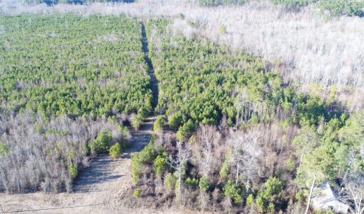 Photo #15 of 973 Mosely Road, Walstonburg, NC 204.2 acres