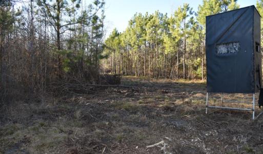 Photo #18 of 973 Mosely Road, Walstonburg, NC 204.2 acres