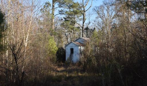 Photo #19 of 973 Mosely Road, Walstonburg, NC 204.2 acres