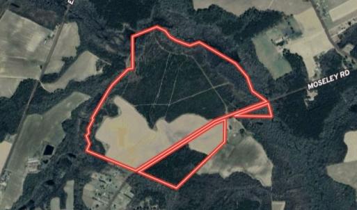 Photo #27 of 973 Mosely Road, Walstonburg, NC 204.2 acres