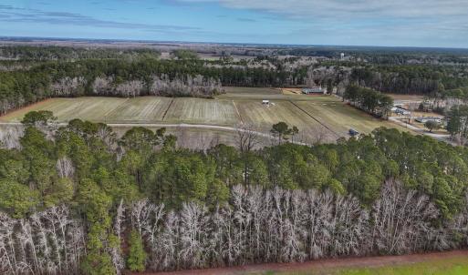 Photo #13 of 803 Sailhaven Drive, Oriental, NC 0.9 acres