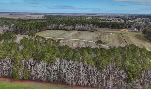 Photo #14 of 803 Sailhaven Drive, Oriental, NC 0.9 acres