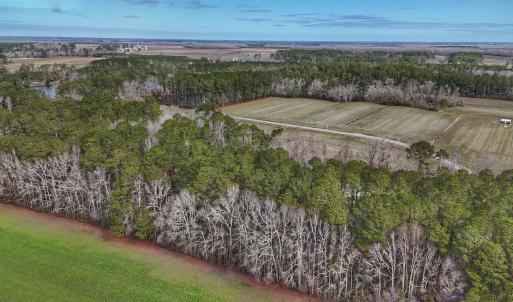 Photo #15 of 803 Sailhaven Drive, Oriental, NC 0.9 acres