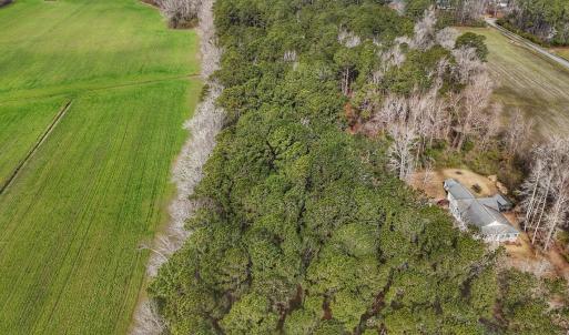 Photo #20 of 803 Sailhaven Drive, Oriental, NC 0.9 acres