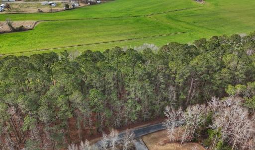 Photo #26 of 803 Sailhaven Drive, Oriental, NC 0.9 acres