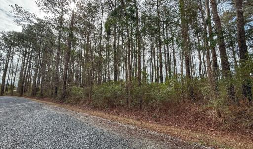 Photo #30 of 803 Sailhaven Drive, Oriental, NC 0.9 acres