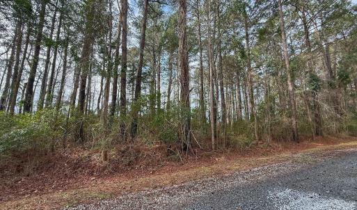 Photo #31 of 803 Sailhaven Drive, Oriental, NC 0.9 acres