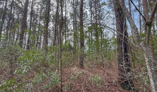 Photo #32 of 803 Sailhaven Drive, Oriental, NC 0.9 acres