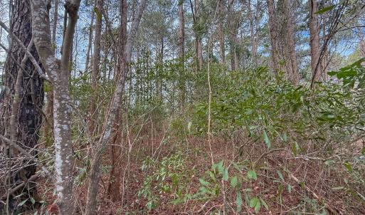 Photo #33 of 803 Sailhaven Drive, Oriental, NC 0.9 acres
