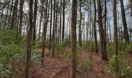 Photo #34 of 803 Sailhaven Drive, Oriental, NC 0.9 acres