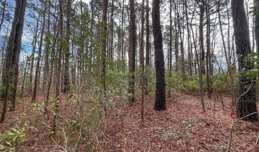 Photo #35 of 803 Sailhaven Drive, Oriental, NC 0.9 acres