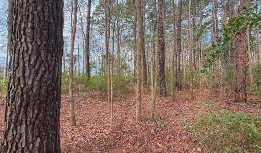 Photo #37 of 803 Sailhaven Drive, Oriental, NC 0.9 acres