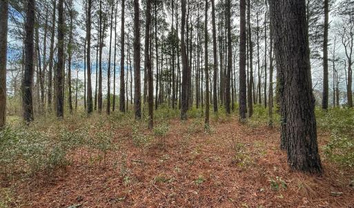 Photo #41 of 803 Sailhaven Drive, Oriental, NC 0.9 acres