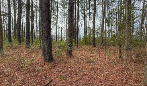 Photo #42 of 803 Sailhaven Drive, Oriental, NC 0.9 acres