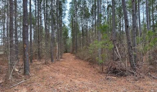 Photo #2 of Off Quarry Rd Skippers VA, Emporia, VA 8.8 acres