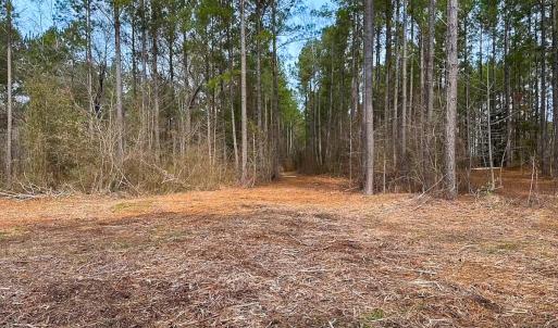 Photo #5 of Off Quarry Rd Skippers VA, Emporia, VA 8.8 acres