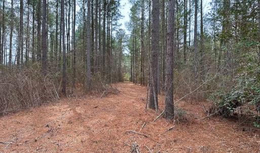 Photo #7 of Off Quarry Rd Skippers VA, Emporia, VA 8.8 acres
