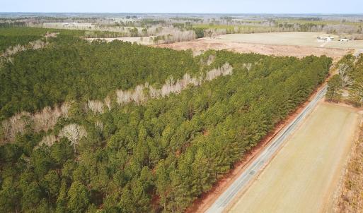 Photo #8 of Off Quarry Rd Skippers VA, Emporia, VA 8.8 acres