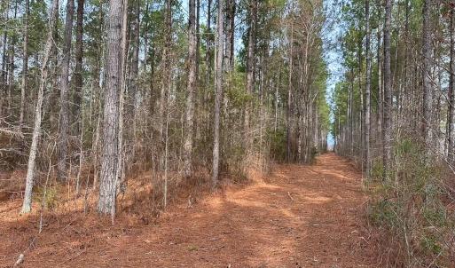 Photo #12 of Off Quarry Rd Skippers VA, Emporia, VA 8.8 acres