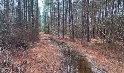 Photo #13 of Off Quarry Rd Skippers VA, Emporia, VA 8.8 acres
