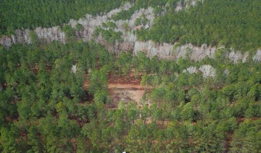 Photo #14 of Off Quarry Rd Skippers VA, Emporia, VA 8.8 acres