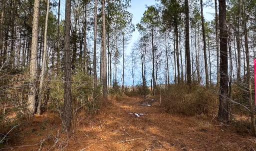 Photo #19 of Off Quarry Rd Skippers VA, Emporia, VA 8.8 acres