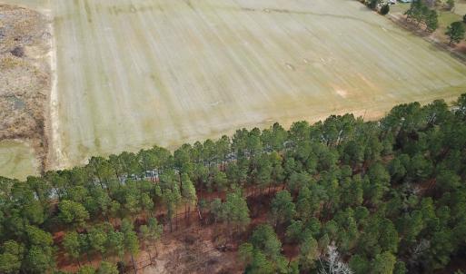Photo #20 of Off Quarry Rd Skippers VA, Emporia, VA 8.8 acres
