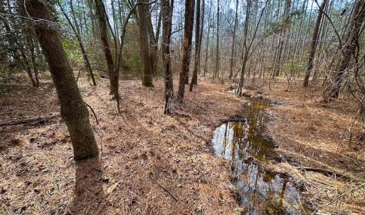 Photo #22 of Off Quarry Rd Skippers VA, Emporia, VA 8.8 acres
