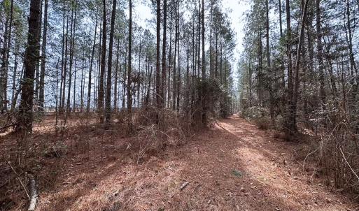 Photo #26 of Off Quarry Rd Skippers VA, Emporia, VA 8.8 acres