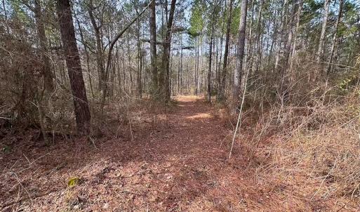 Photo #29 of Off Quarry Rd Skippers VA, Emporia, VA 8.8 acres
