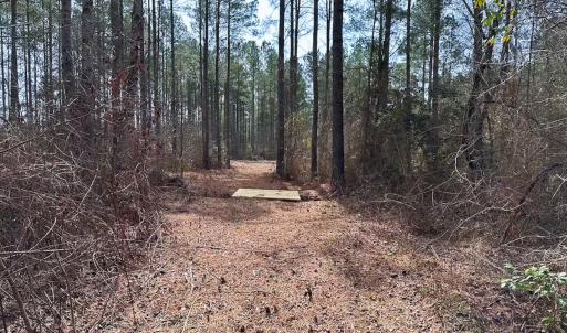 Photo #32 of Off Quarry Rd Skippers VA, Emporia, VA 8.8 acres