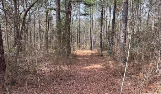 Photo #34 of Off Quarry Rd Skippers VA, Emporia, VA 8.8 acres