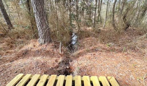 Photo #35 of Off Quarry Rd Skippers VA, Emporia, VA 8.8 acres