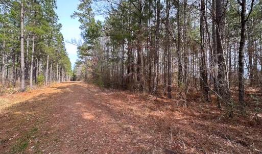 Photo #36 of Off Quarry Rd Skippers VA, Emporia, VA 8.8 acres