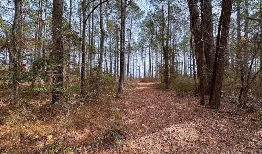 Photo #38 of Off Quarry Rd Skippers VA, Emporia, VA 8.8 acres