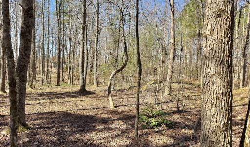 Photo #12 of SOLD property in Off Gene Road, New London, NC 0.9 acres
