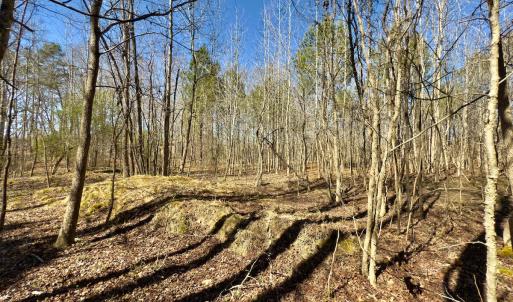Photo #13 of SOLD property in Off Gene Road, New London, NC 0.9 acres