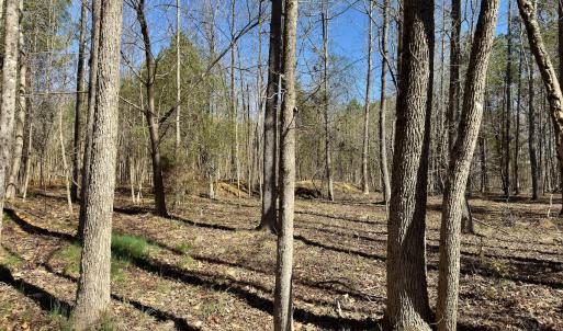 Photo #17 of SOLD property in Off Gene Road, New London, NC 0.9 acres