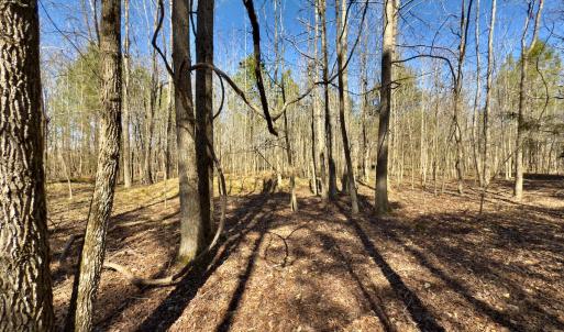 Photo #18 of SOLD property in Off Gene Road, New London, NC 0.9 acres