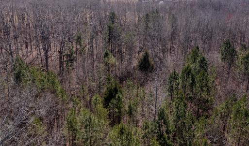 Photo #20 of SOLD property in Off Gene Road, New London, NC 0.9 acres