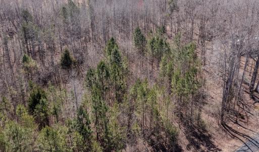 Photo #22 of SOLD property in Off Gene Road, New London, NC 0.9 acres