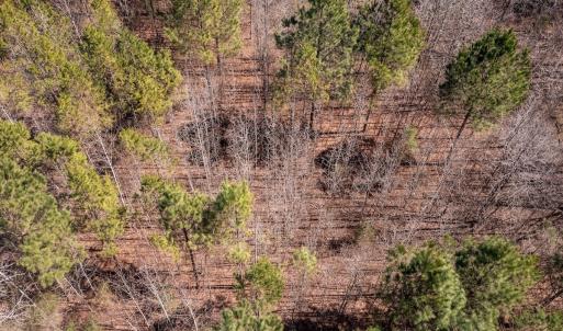 Photo #23 of SOLD property in Off Gene Road, New London, NC 0.9 acres