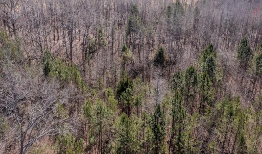Photo #24 of SOLD property in Off Gene Road, New London, NC 0.9 acres