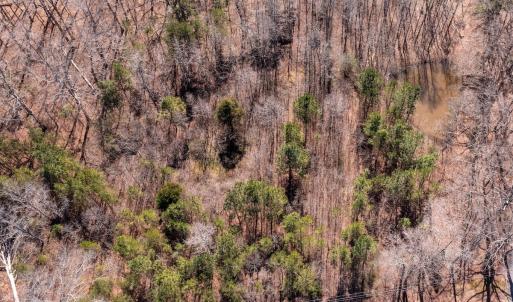 Photo #6 of SOLD property in Off Gene Road, New London, NC 0.9 acres