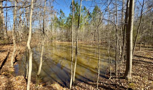 Photo #8 of SOLD property in Off Gene Road, New London, NC 0.9 acres