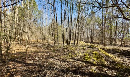 Photo #9 of SOLD property in Off Gene Road, New London, NC 0.9 acres